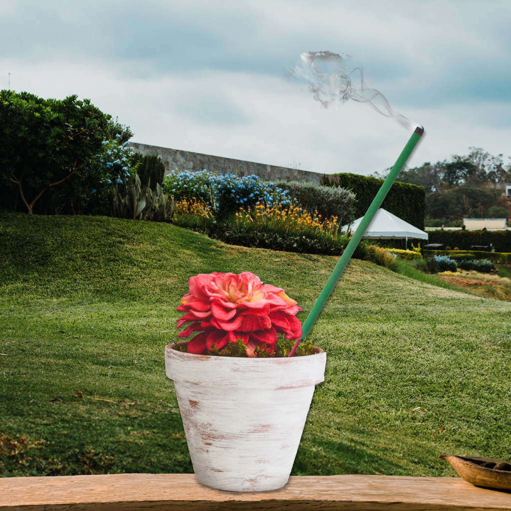 5. garden-pot
